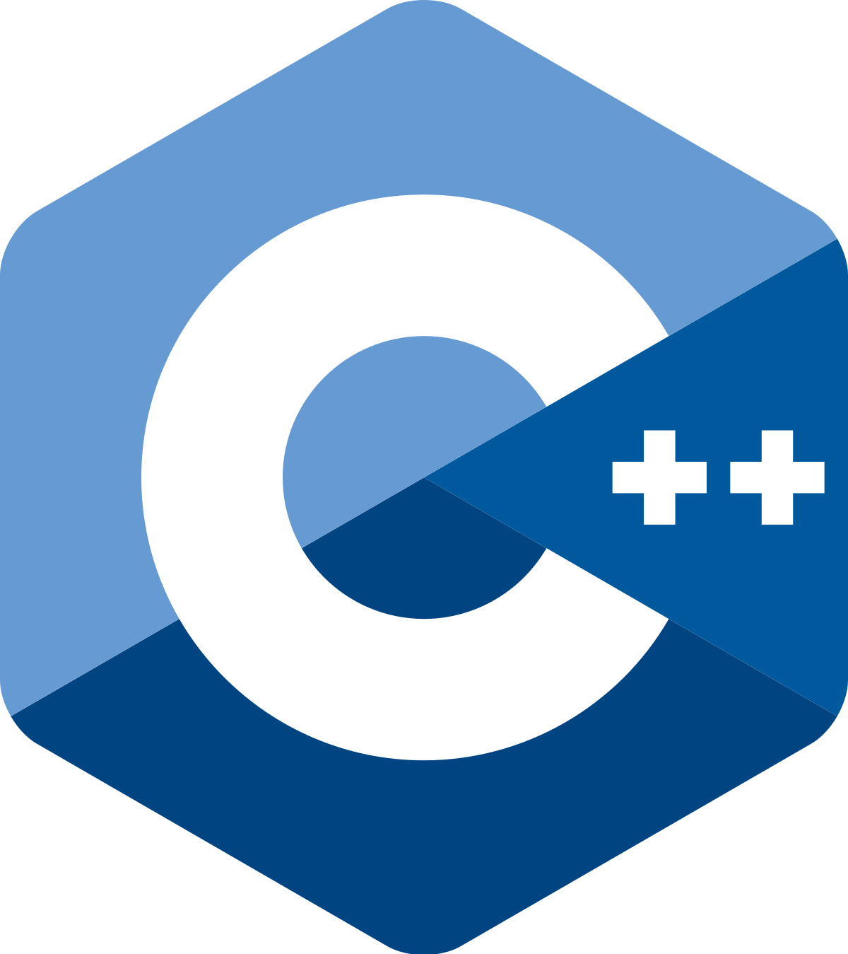 C++: main language for this project